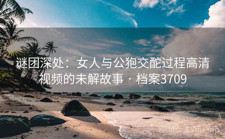 谜团深处:女人与公狍交酡过程高清视频的未解故事 · 档案3709