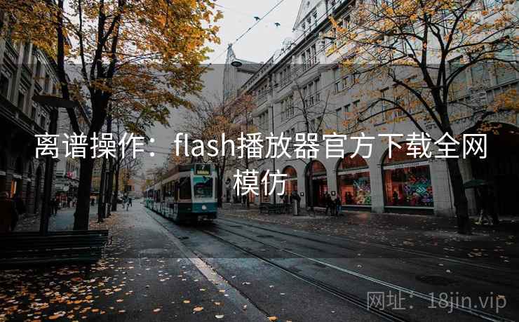 离谱操作：flash播放器官方下载全网模仿